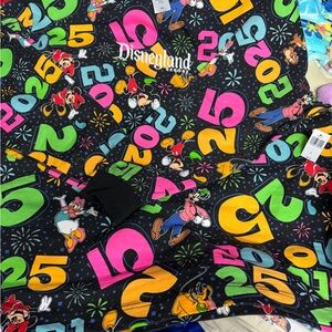 Disneyland 2025 Spirit Jersey - New